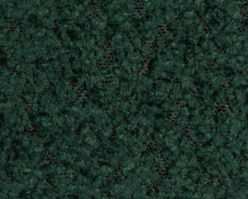 cage-012.jpg